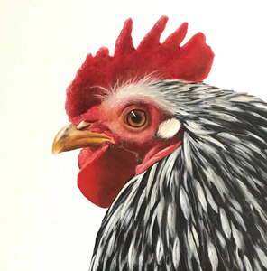 Olieverf- en acrylverf schilderijen van kippen en hanen