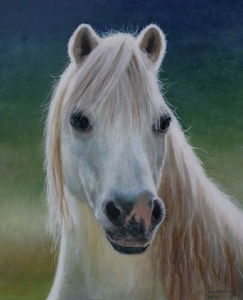 Olieverf- en acrylschilderijen van paarden