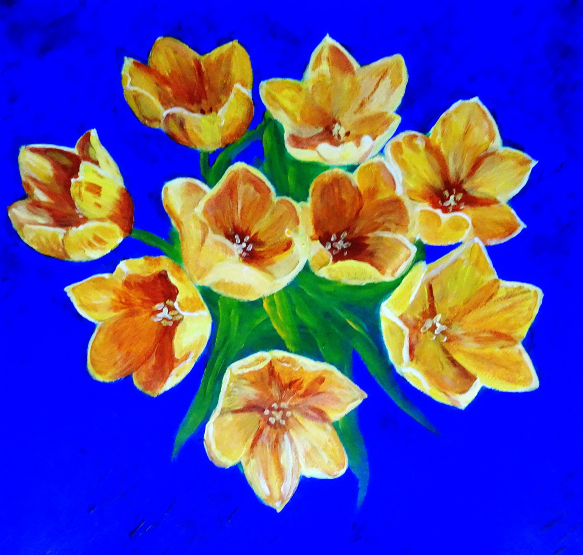 tulpen van boven (gezien)