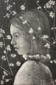 De werkwijze is een manière noire, dat wil zeggen men werkt van zwart naar wit. Het uitgangspunt bij mezzotint is een grove plaat die egaal zwart zou afdrukken. Het ruw maken van de plaat gebeurt van oudsher met een wiegijzer.
De tekening in de zwarte ondergrond ontstaat door het plaatselijk weghalen van de structuur, door te polijsten met handgereedschap van metaal. Geleidelijk wordt de afbeelding tevoorschijn gehaald, zoals een beeldhouwer zijn sculptuur uit een blok steen haalt.
