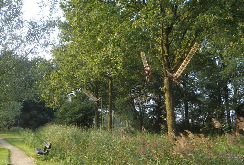 Zwevende bomen