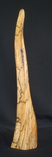 z.t. 2011-02