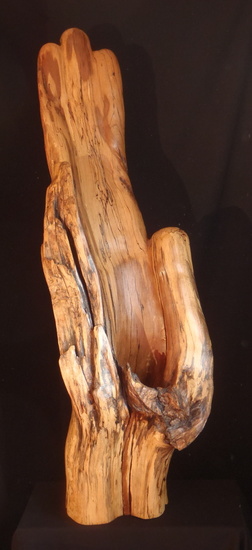 Hand