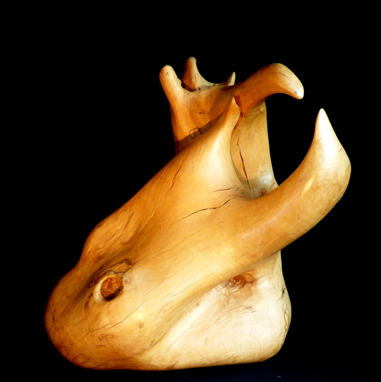 z.t. 2009-01