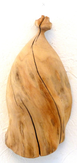 Muurbloempje 2