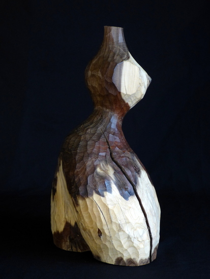 Vrouw (gouden regen)