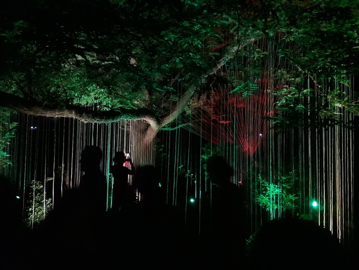 Verbinding - voor Gleam. Art in a new light