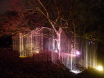 Lichtinstallaties, vooral in bomen. Nog meest gemaakt voor nachtelijke wandeltochten, maar ook voor festivals, als decor voor live muziek en dans, tot in de VS toe. Ook verrassende schijnbeelden.