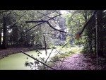 Werken gemaakt met materiaal uit de natuur, passend in de natuur. Een nieuwe activiteit van Bart Ensing, voor het eerst toegepast in het Overbosch in Voorhout, daarna bij Landart Diessen.