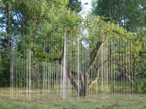 Installaties meest in de natuur, in bomen, met touwen. Een straks ritme van draden die de takken van de boom verbinden met de grond waaruit deze gegroeid is. Of takken aan draden, die speels bewegen in de wind. Verrassend, luchtig, soms bijna meditatief. Maar soms ook heel ander materiaal.