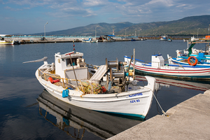 Reis van 02 t/m 09 Mei 2023 naar Lesbos, Griekenland
thema Macrofotografie Bloemen en Planten,  Reptielen en Amfibieën