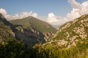 Reis van 13 t/m 20 Oktober 2019 naar Peloponnesos, Griekenland 
thema Macrofotografie en Landschappen