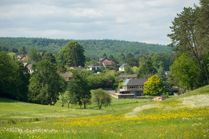Reis van 06 t/m 09 Juni 2019 naar Fagnolle, Philippeville, België
thema Macrofotografie Vlinders en Orchideeën