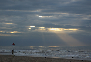 Nederlandse landschappen, met name Zuid Holland