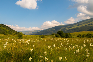 Reis van 18 t/m 25 Juni 2017 naar Bulgarije, o.a. Kresna Gorge en Dobrostan
thema Macrofotografie vlinders en insecten