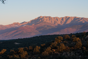 Reis van 19 t/m 25 November 2023 naar Castillië-Extremadura, Spanje thema Roofvogels & Spaanse Ibex