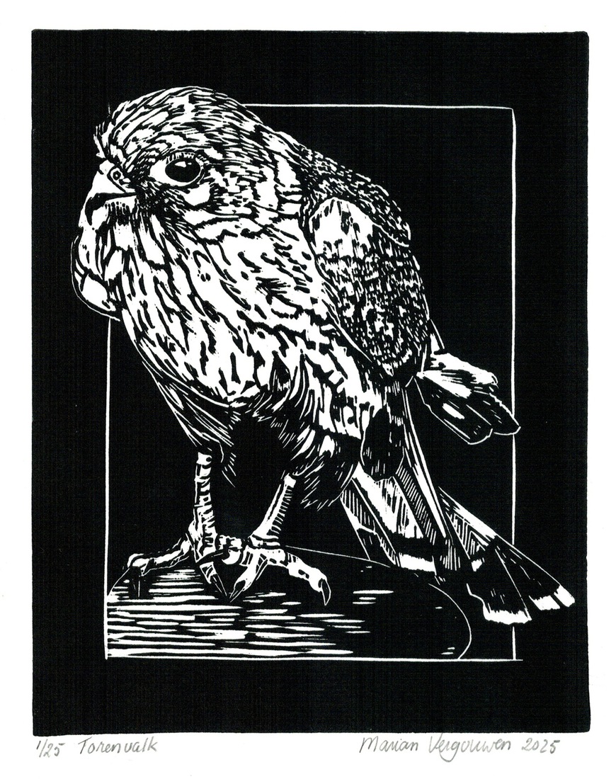 Torenvalk
