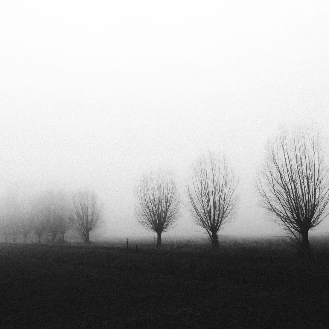 _november