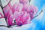 Bloemen kosmos