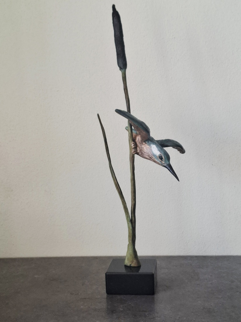 Duikende Ijsvogel