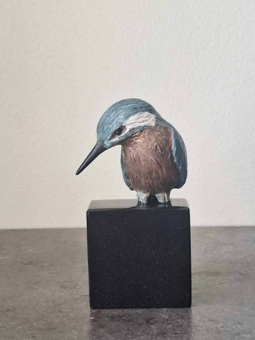 Ijsvogel zittend op steen 6/8