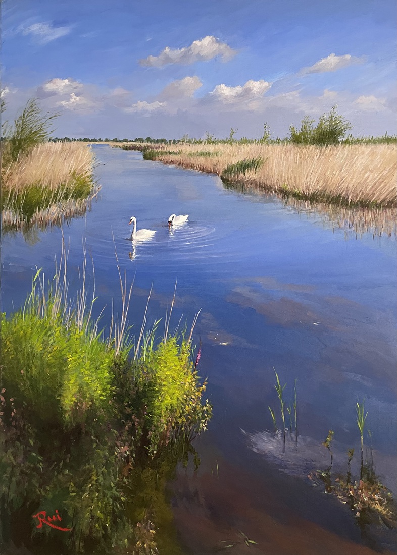 Twee zwanen in Natuurgebied Struikwaard