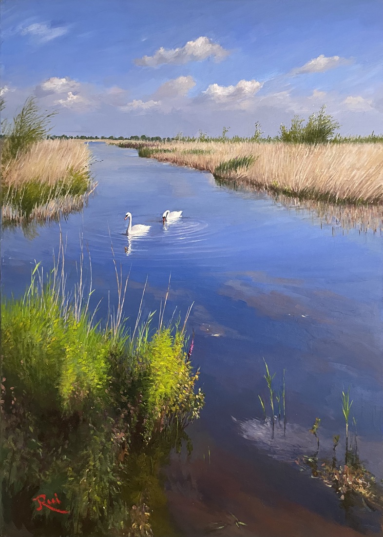 Twee zwanen in Natuurgebied Struikwaard