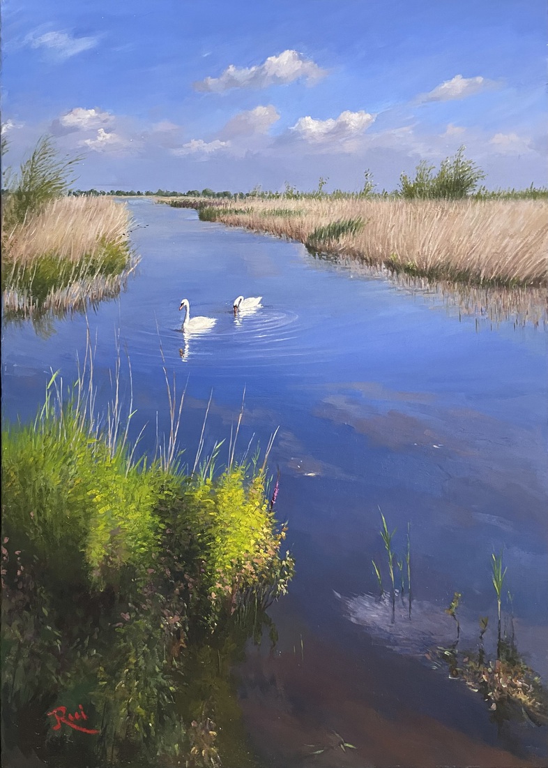Twee zwanen in Natuurgebied Struikwaard