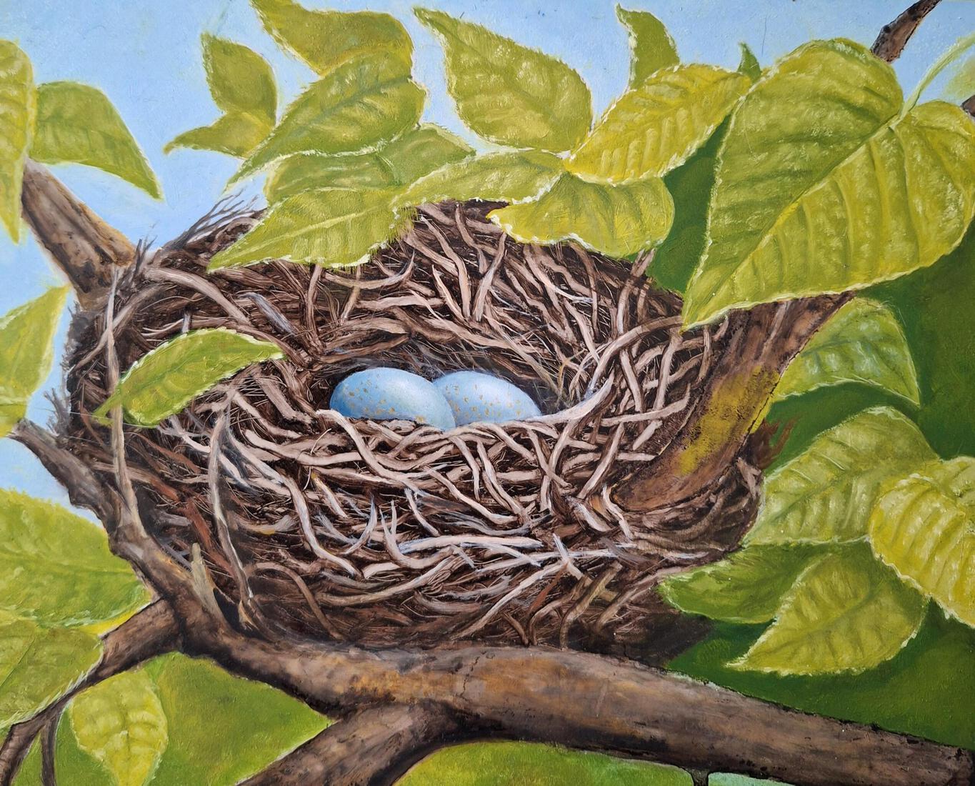 Vogelnestje