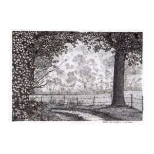 Realistische pentekeningen natuurlandschappen