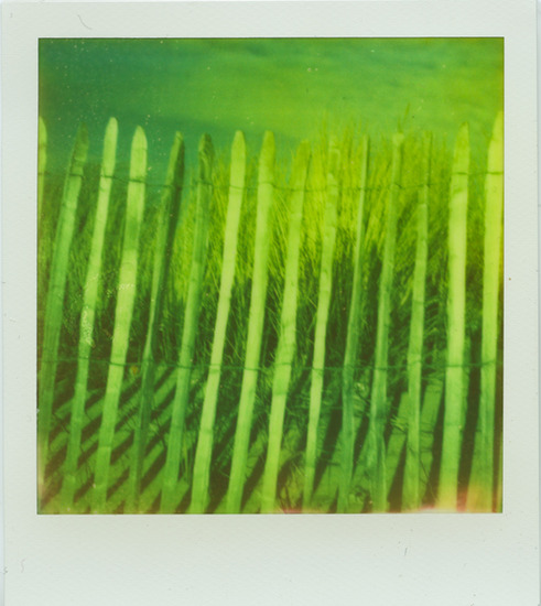 Dutch Dreamscapes #2