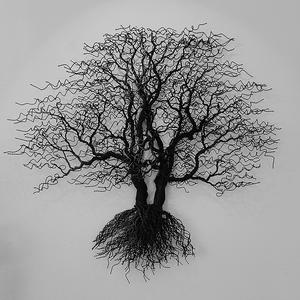 diverse bomen