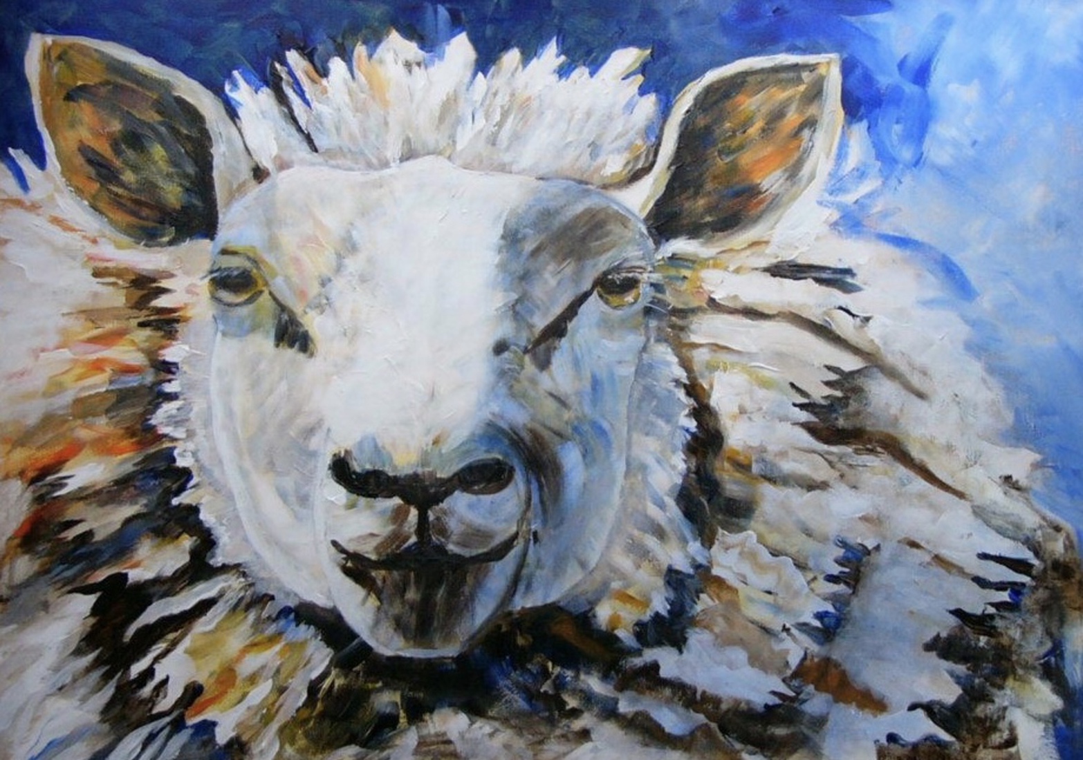 Schaap 2