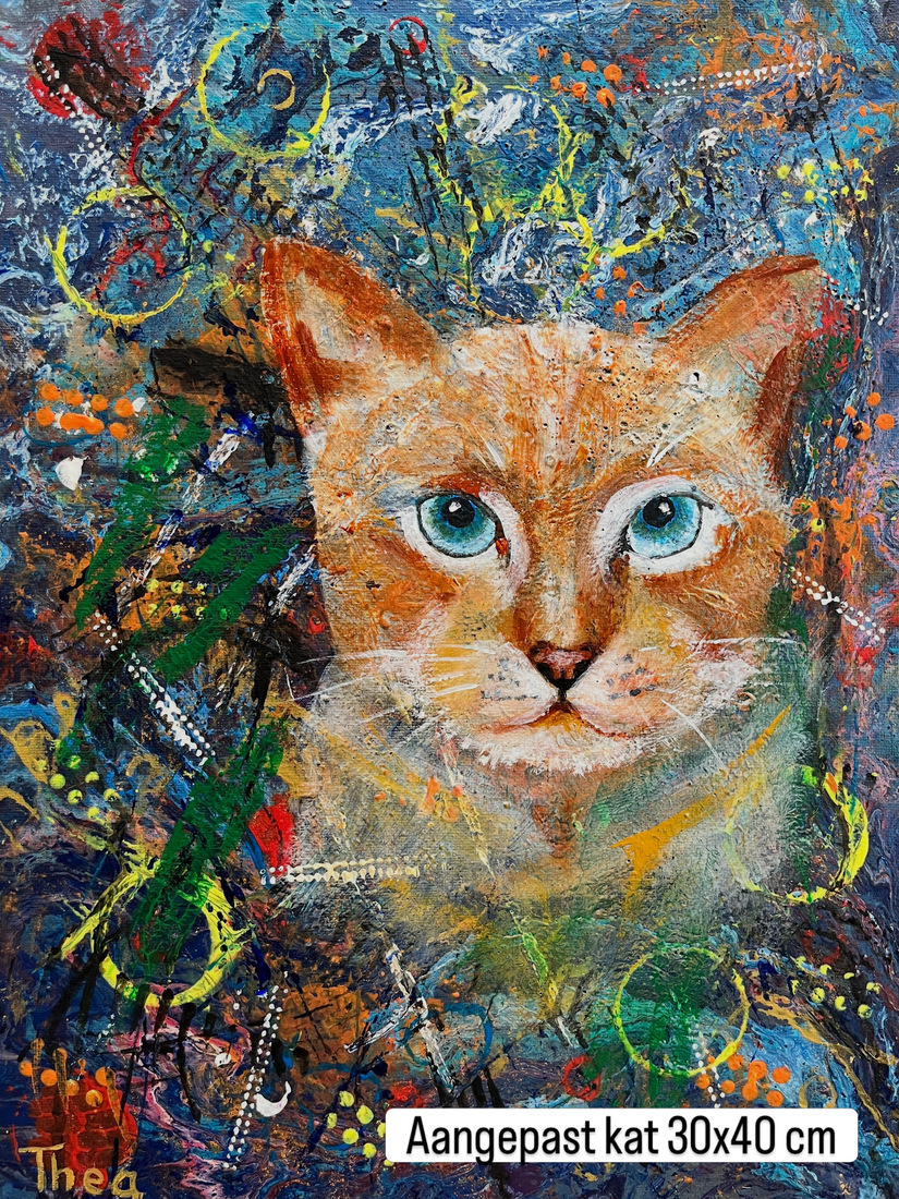 Kieboe kat