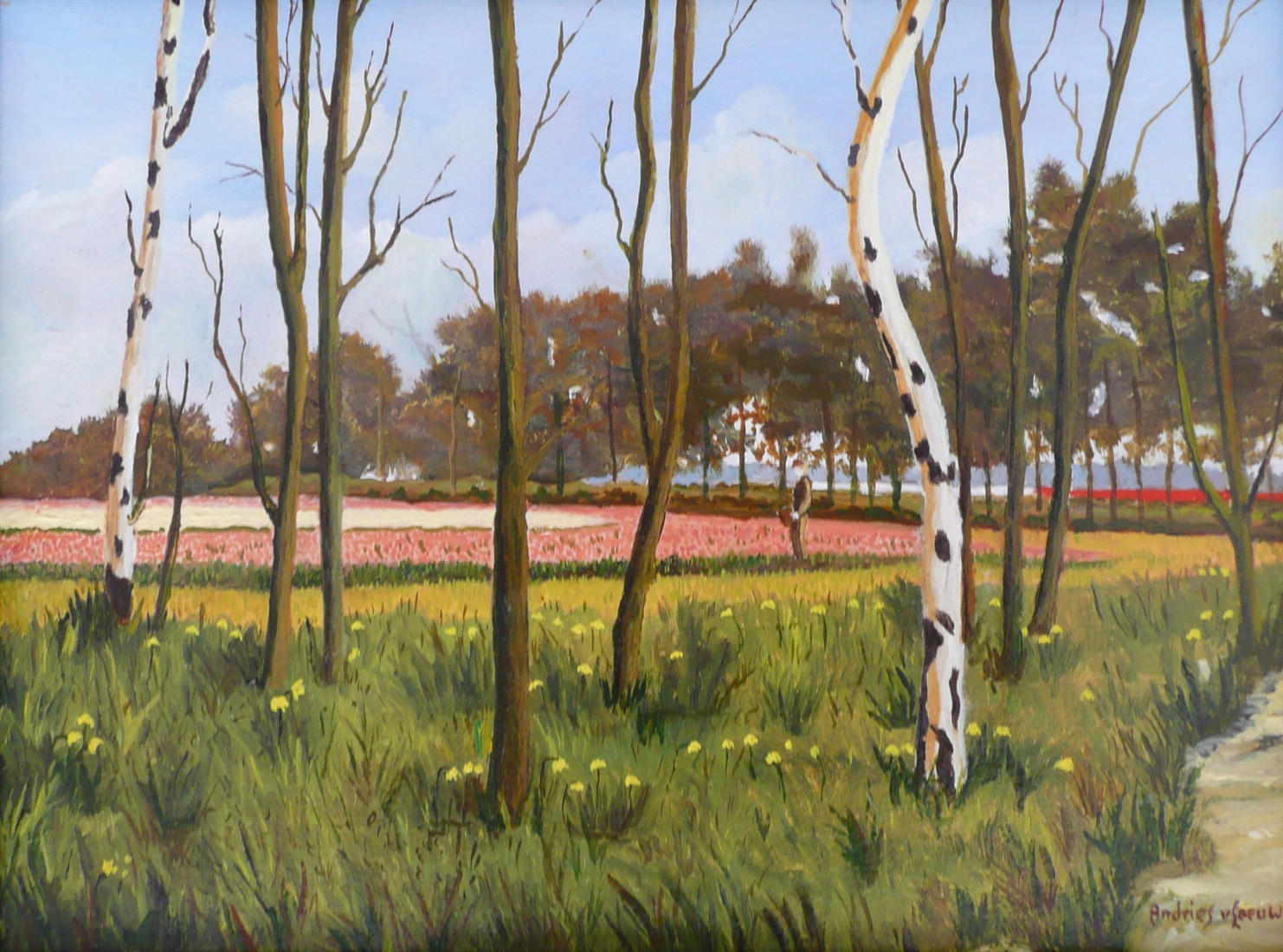 Bloembollenveld Achterweg-Zuid in Lisse