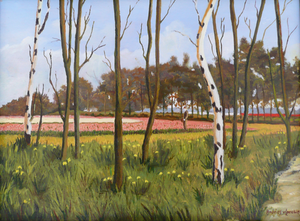 Landschappen zoals bosgezichten, bloembollenvelden en duinlandschappen