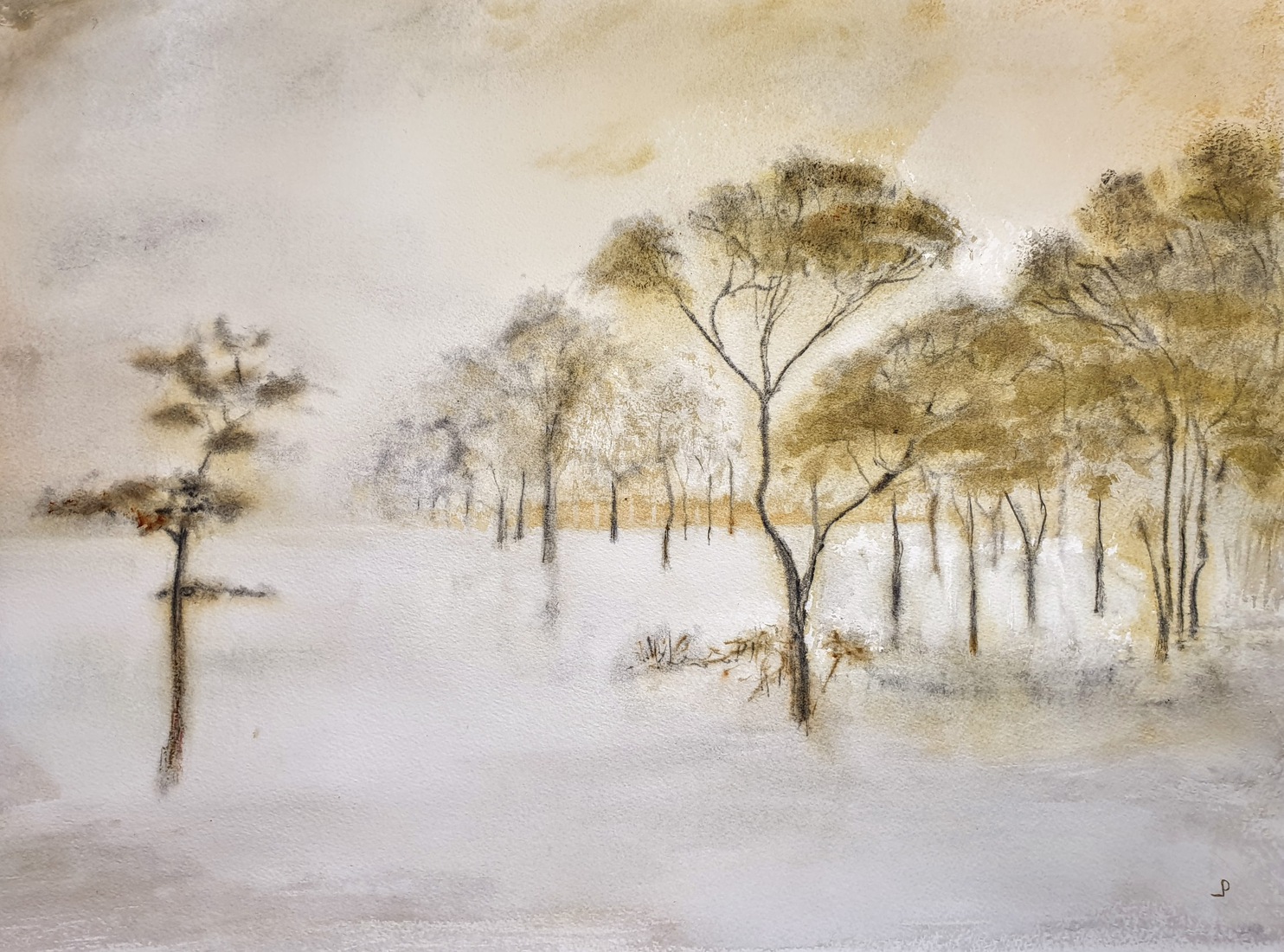 Sneeuwlandschap.