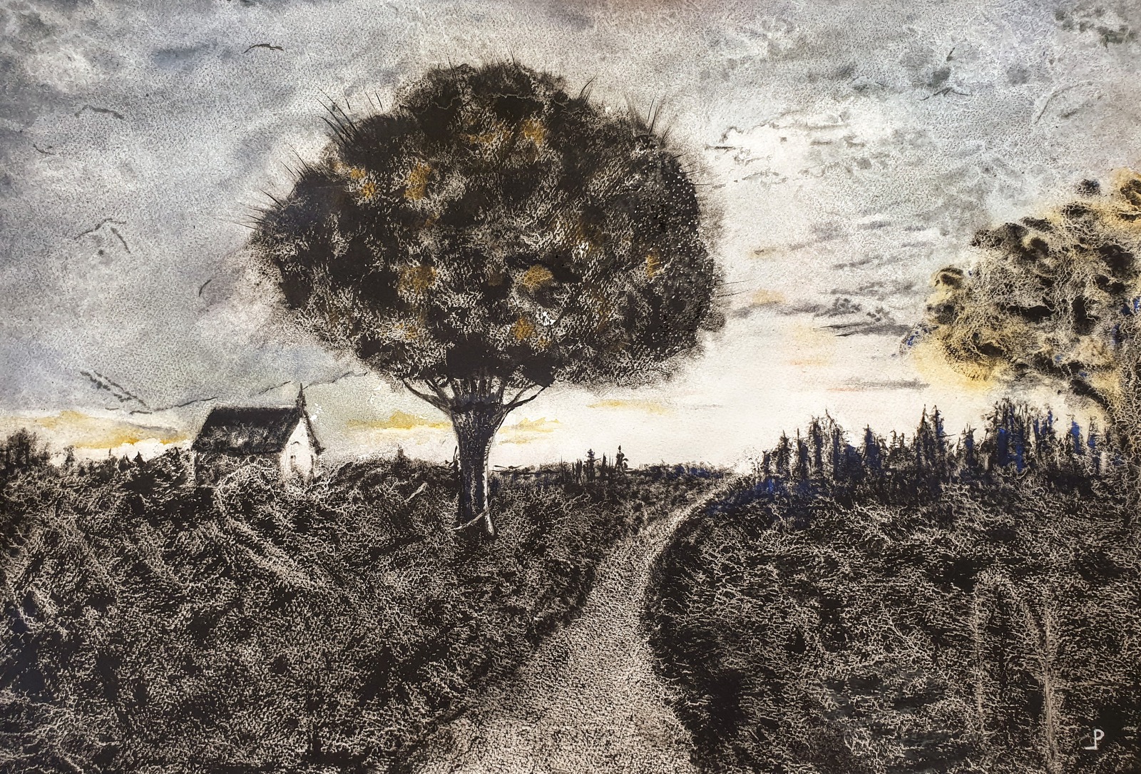 Heide landschap.