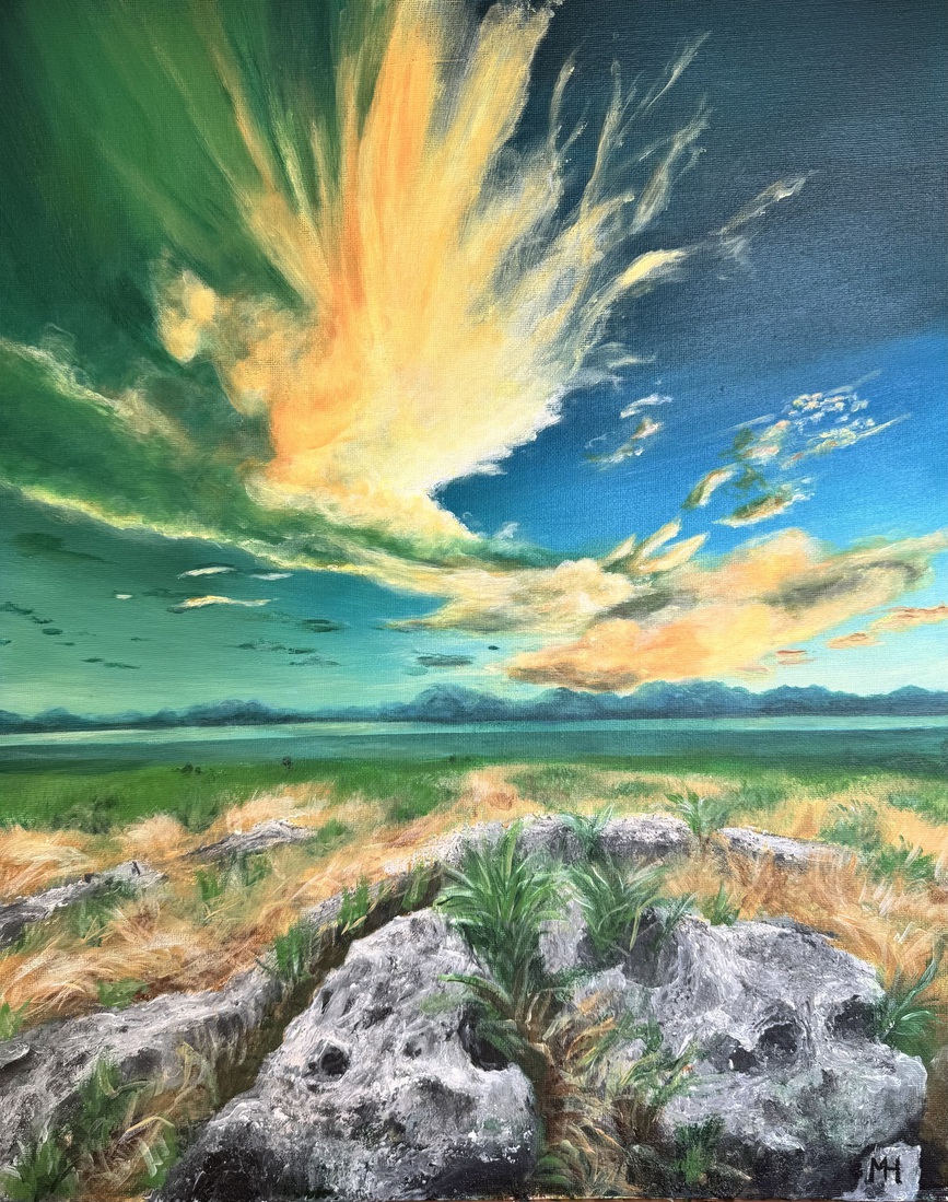 Dancing Clouds over the Fields