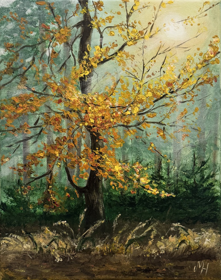 Forest Glow