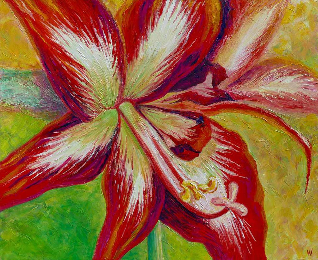 AMARYLLIS