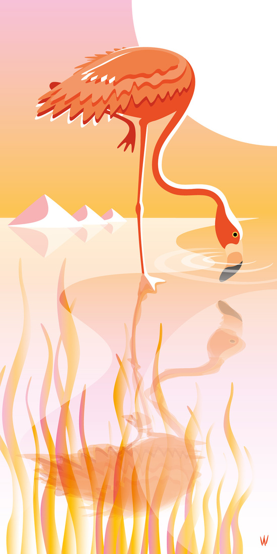 FLAMINGO GROUNDING