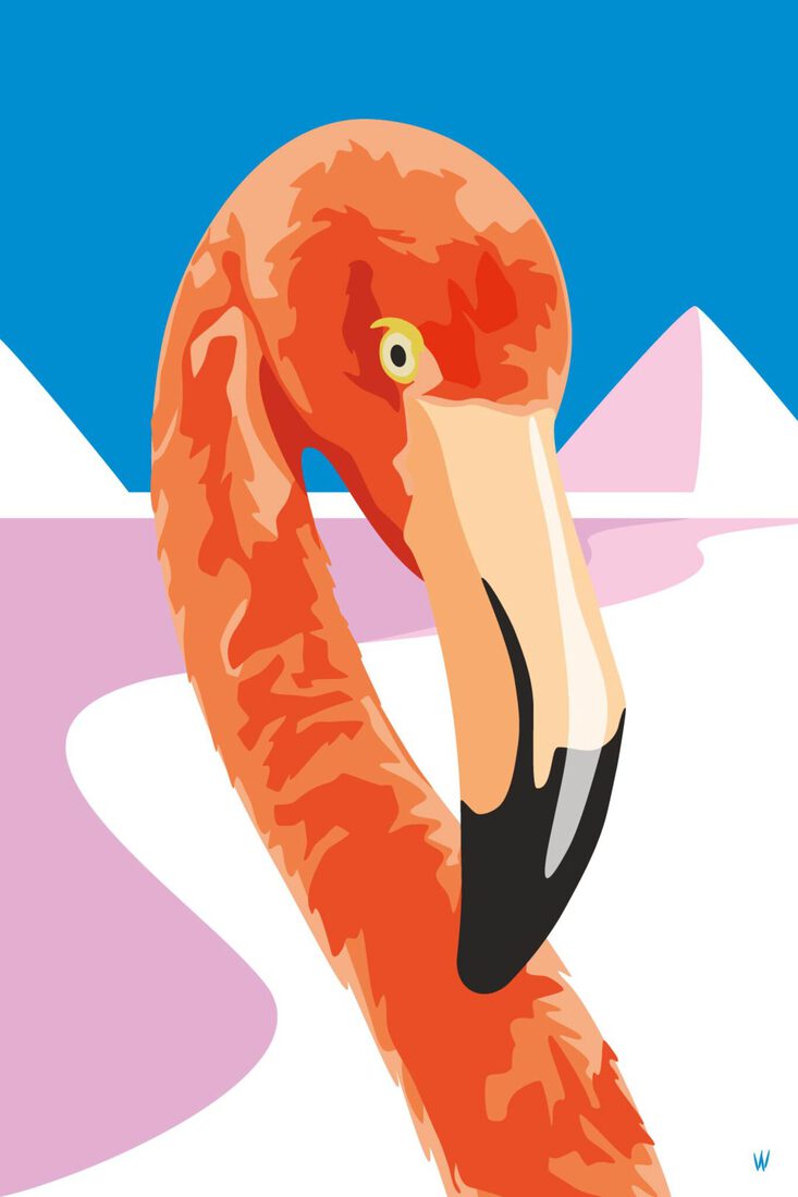 DIVA FLAMINGO