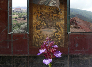 collages van (eigen) fotomateriaal