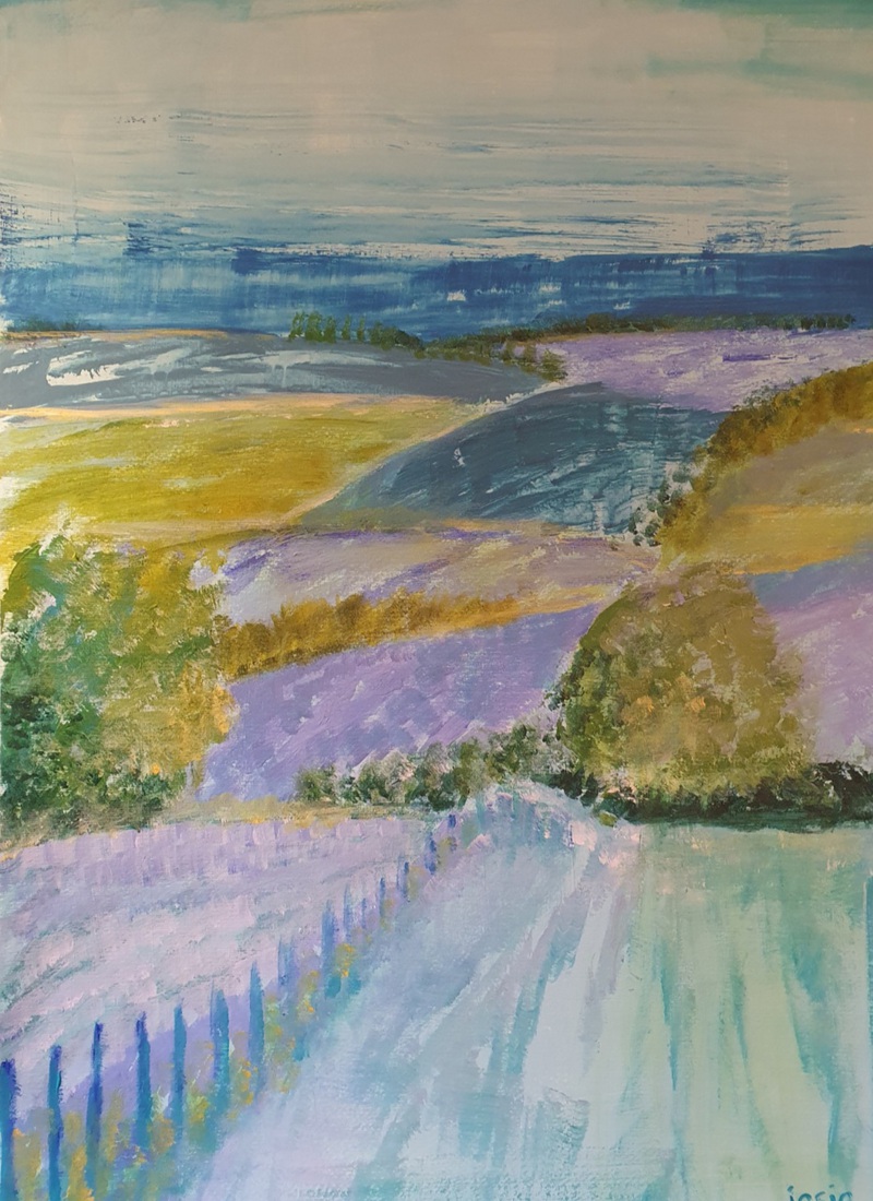 een ochtend in het limburgs landschap 