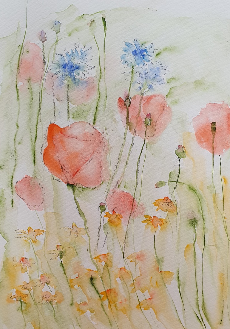 korenbloem en klaproos