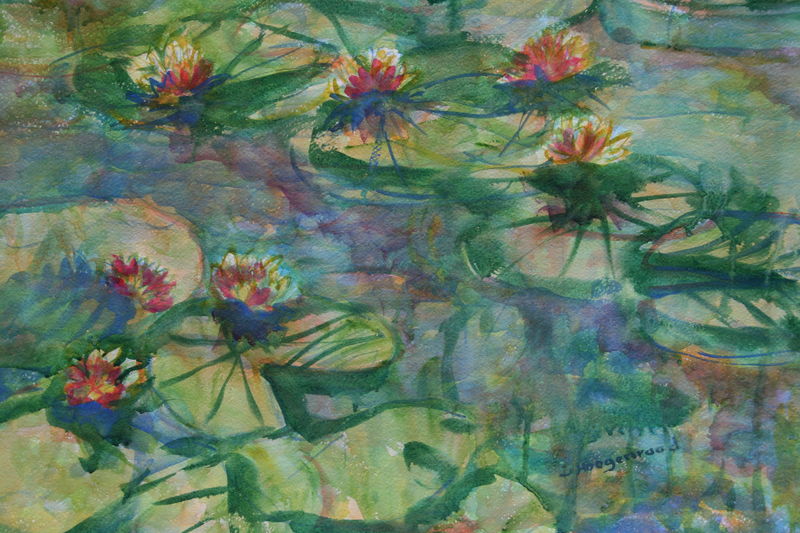 Waterlelies
