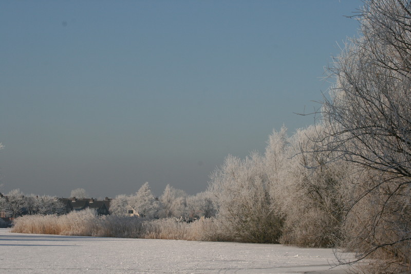 Winter landschap