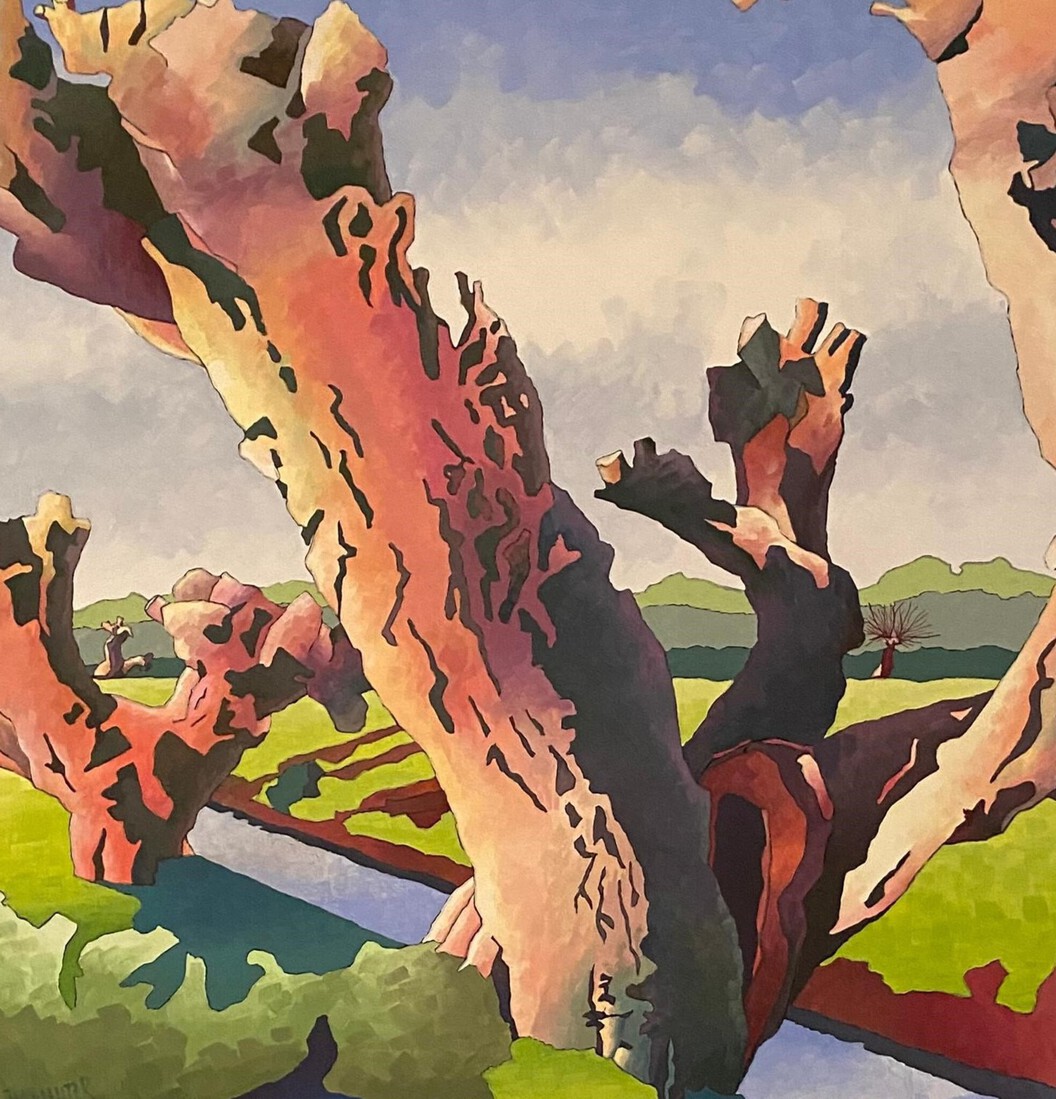 Knotwilgen  in uiterwaarden