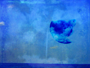 Landschappen met maan